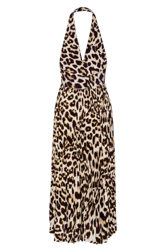 Cathouse Dress