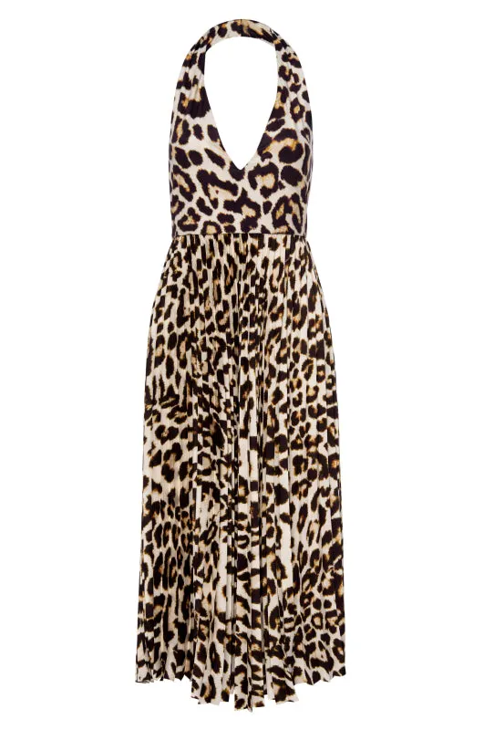 Cathouse Dress