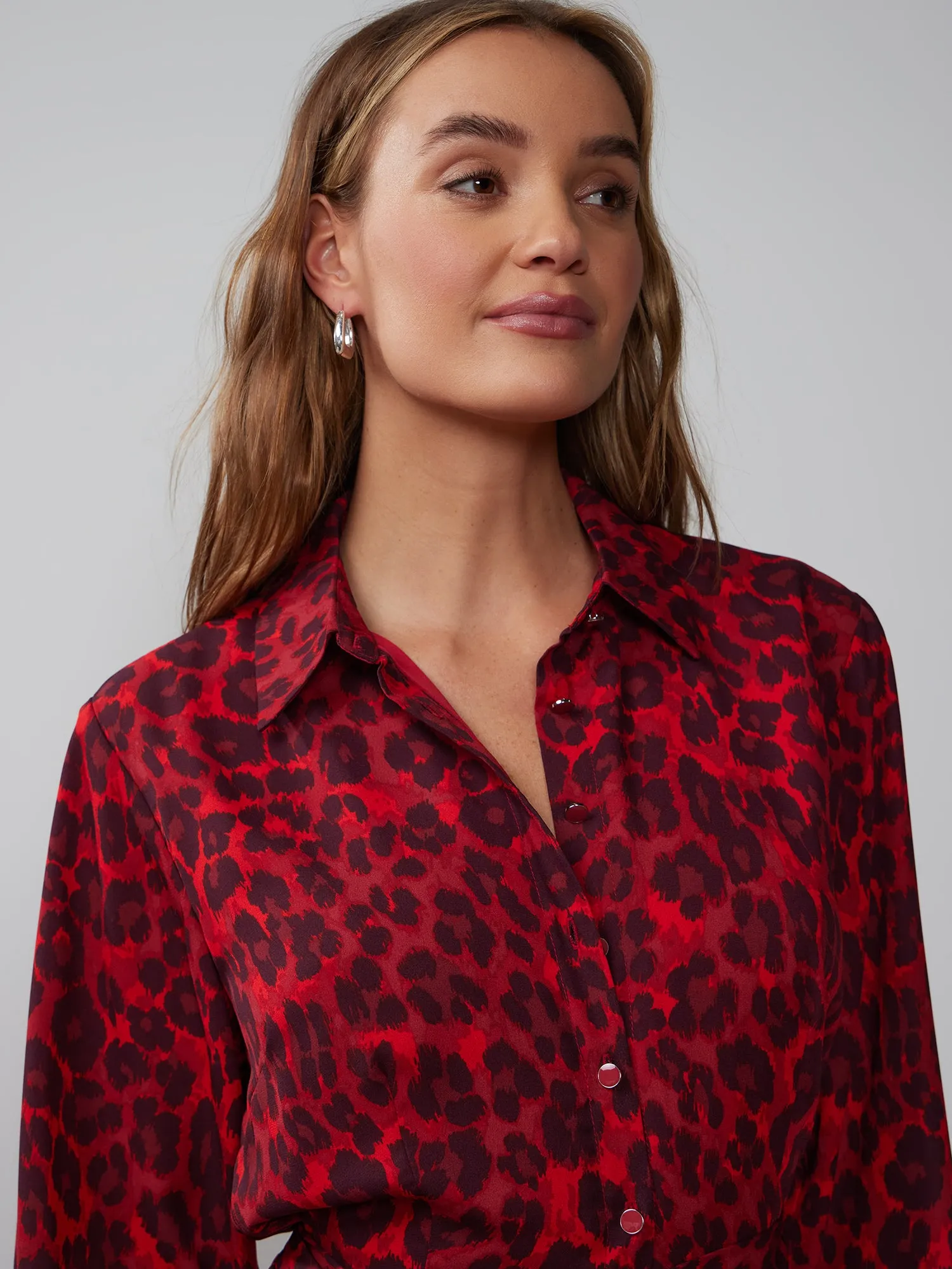 Long Sleeve Animal Print Shirt Dress