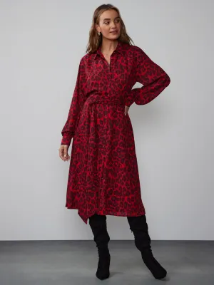 Long Sleeve Animal Print Shirt Dress